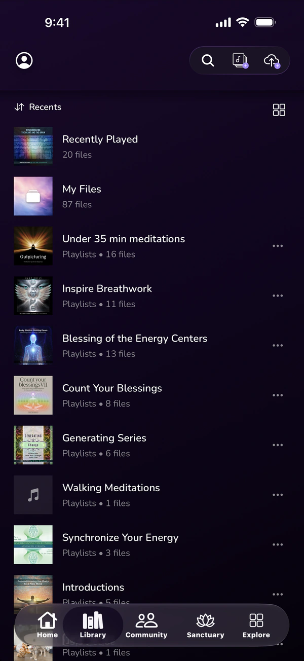 The DeepSoul library tab, your playlists in a list